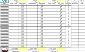spreadsheet.jpg